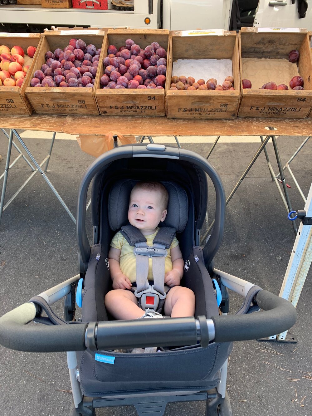 My farmer’s market shopping cart!